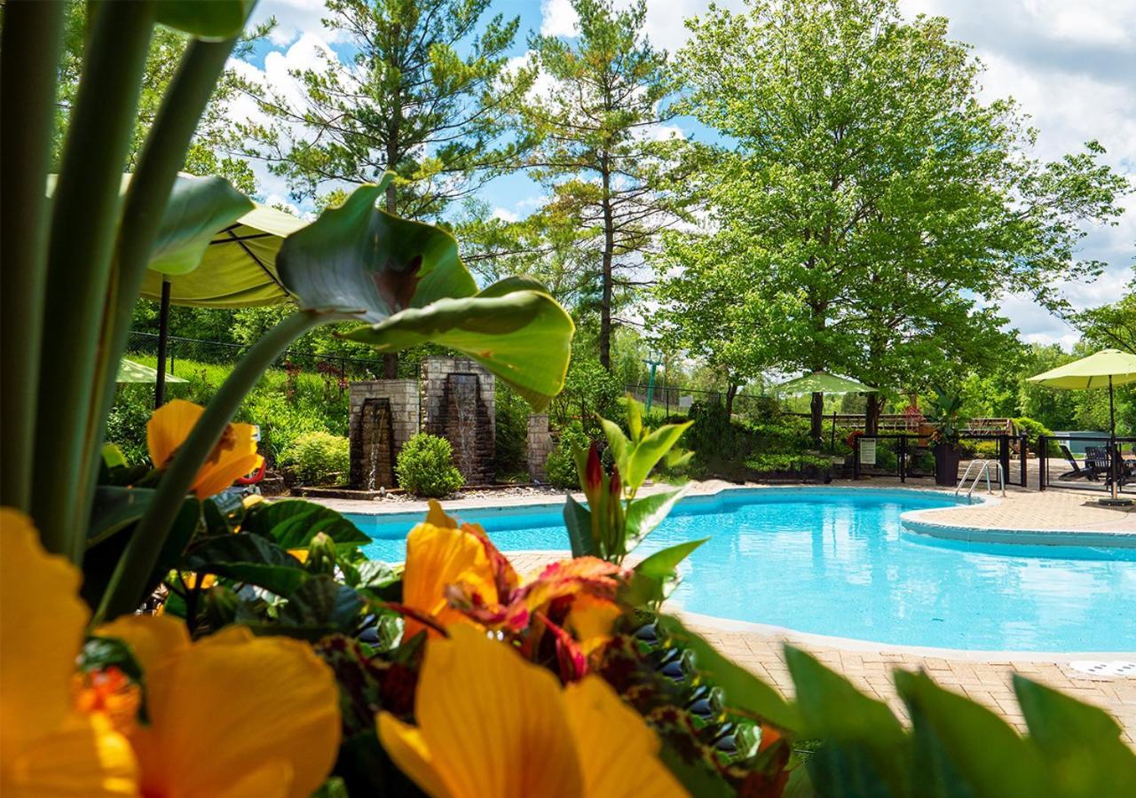 Hockley Valley Resort Оранджвилль Экстерьер фото